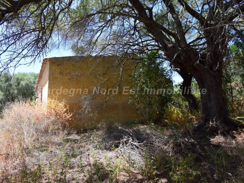 Rustico / casale a Arzachena - Foto 5