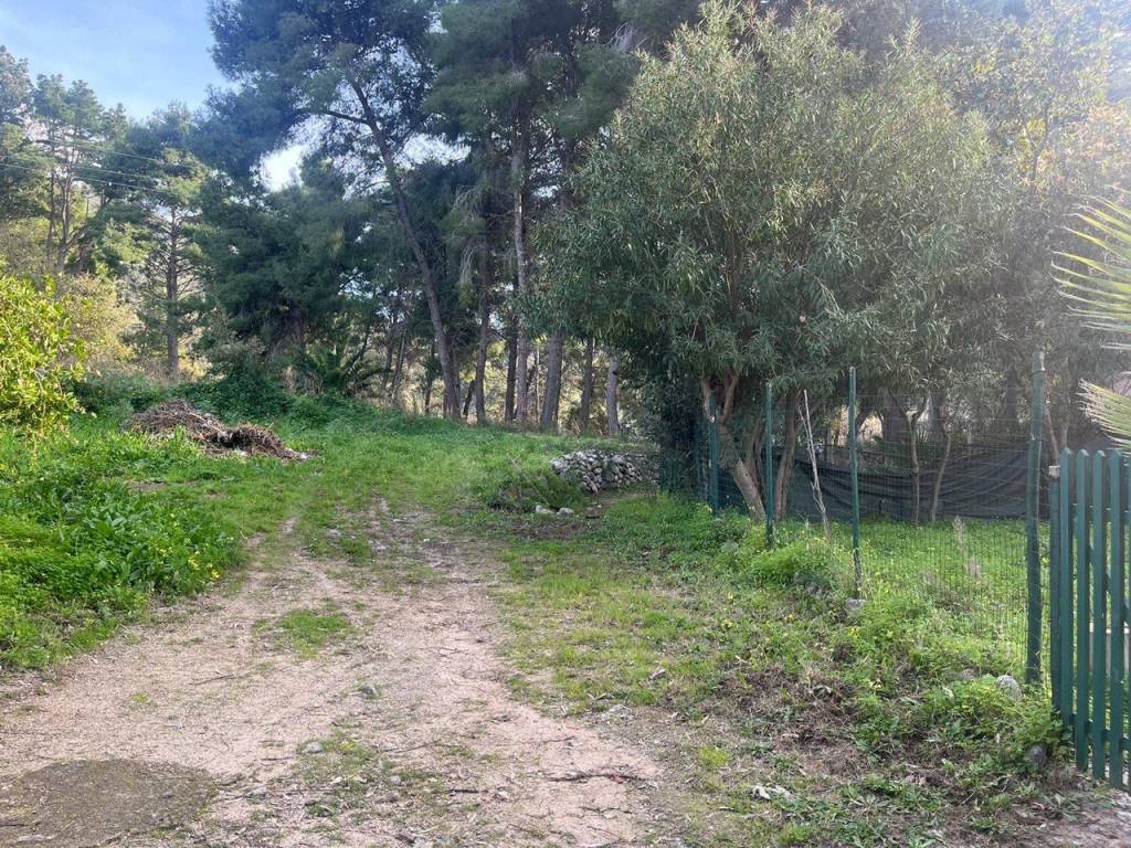 Terreno a Tropea - Foto 4