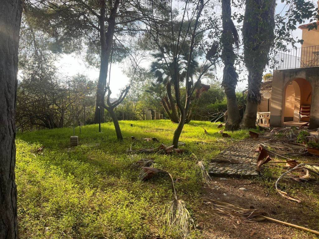 Terreno a Tropea - Foto 5