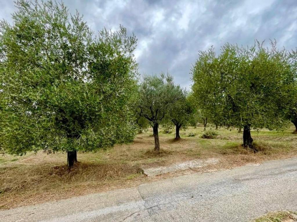 Terreno a Alatri in Via del Convento - Foto 2