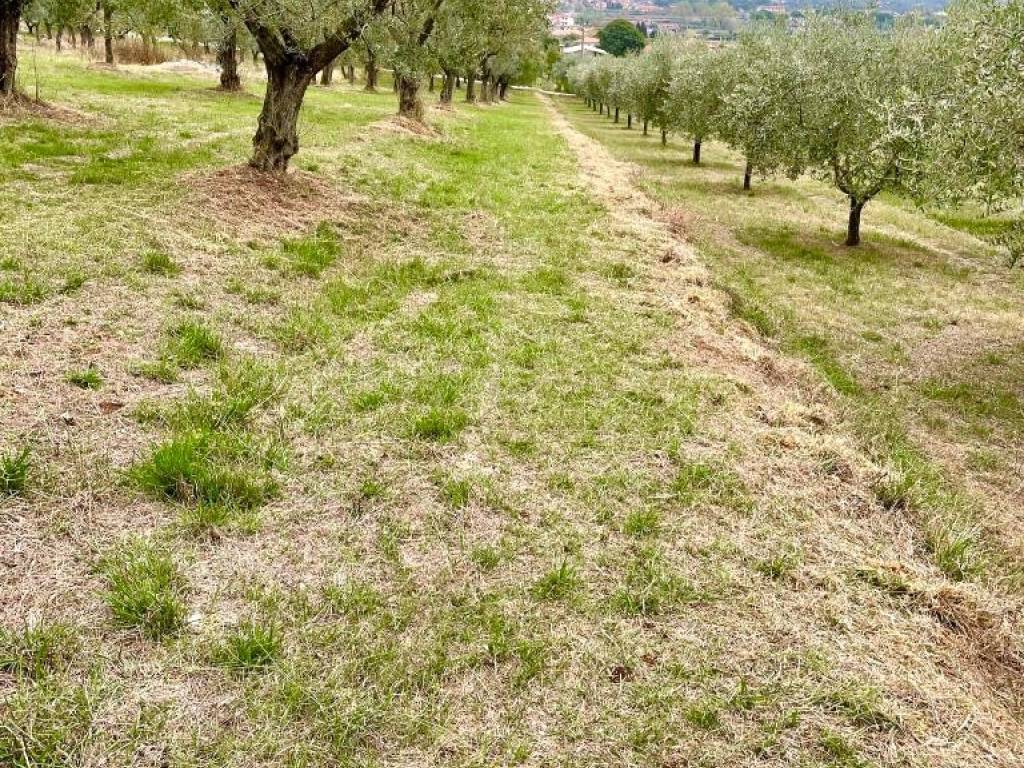 Terreno a Alatri in Via del Convento - Foto 3