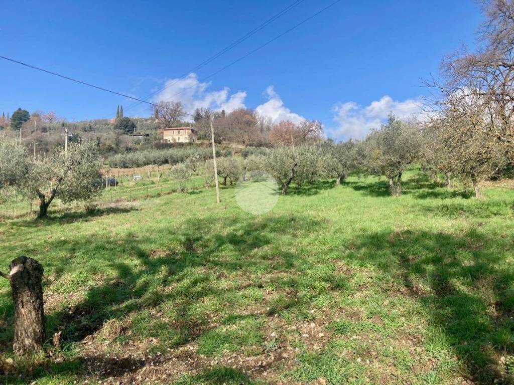 Terreno a Terni in Strada Provinciale 68 - Foto 2