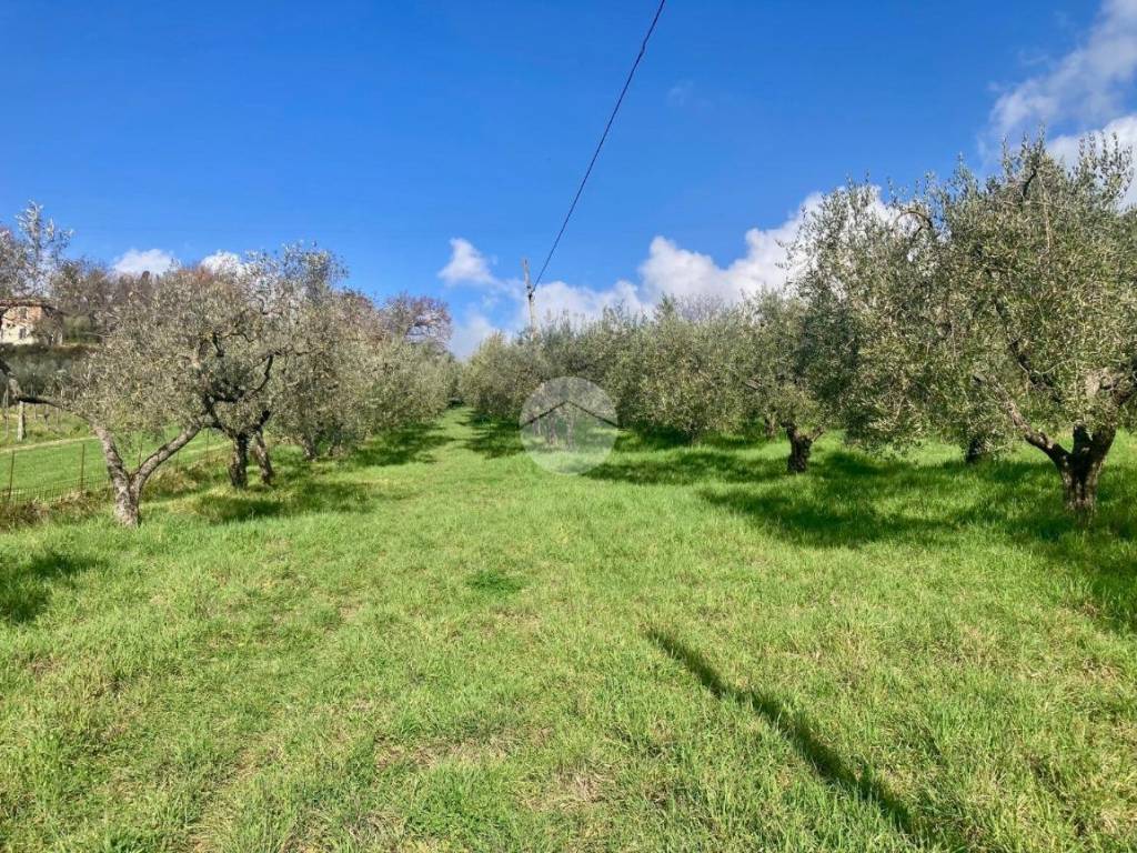 Terreno a Terni in Strada Provinciale 68 - Foto 5