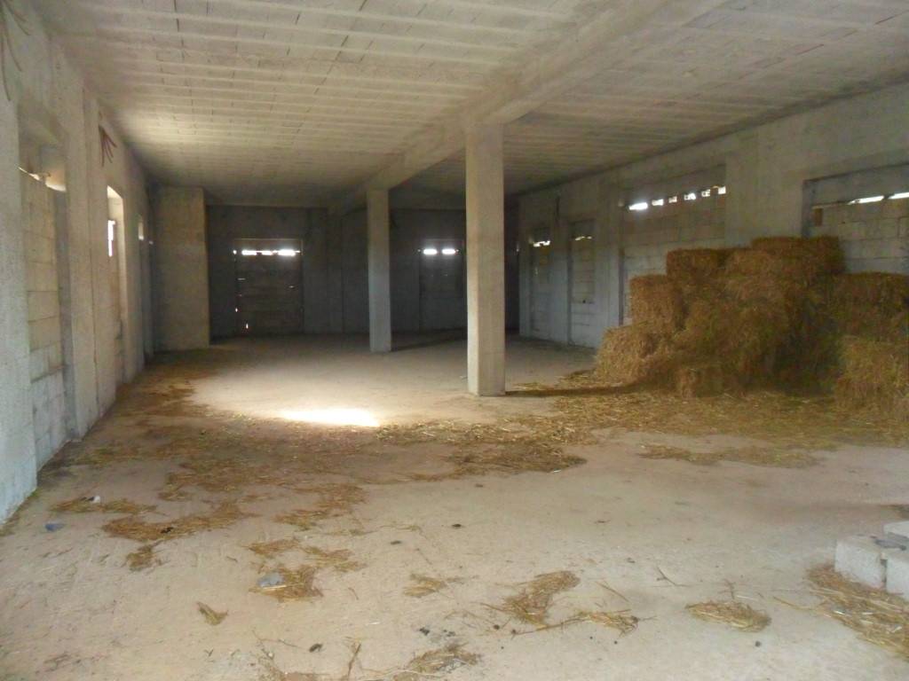 Villa a Taurisano in Via Vicinale Arbosciglio - Foto 5