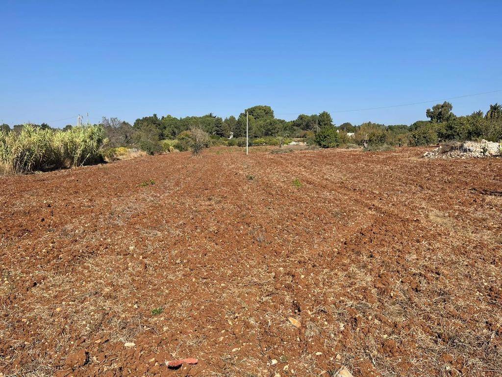 Rustico / casale a Ceglie messapica in Contrada Sacramento - Foto 2