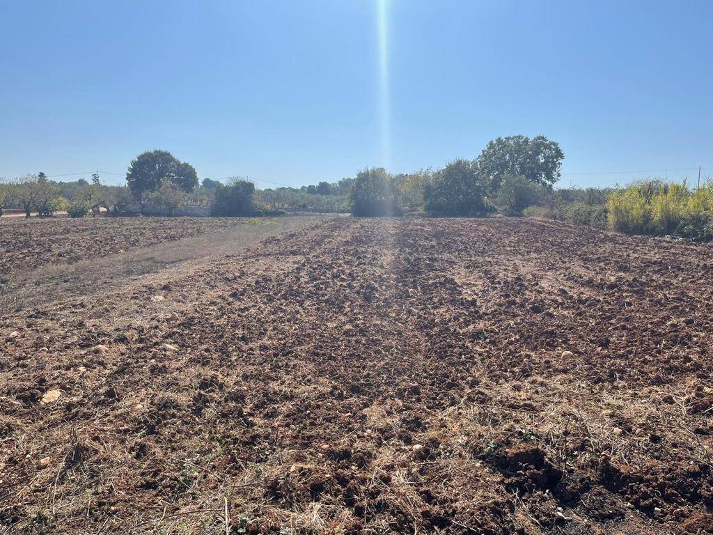 Rustico / casale a Ceglie messapica in Contrada Sacramento - Foto 3