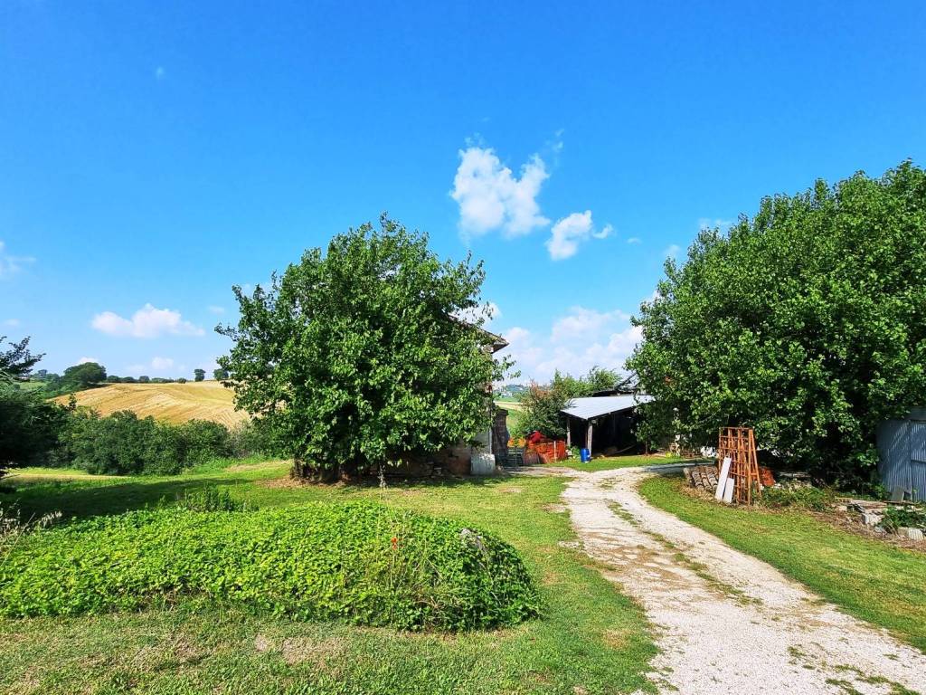 Rustico / casale a Treia - Foto 2