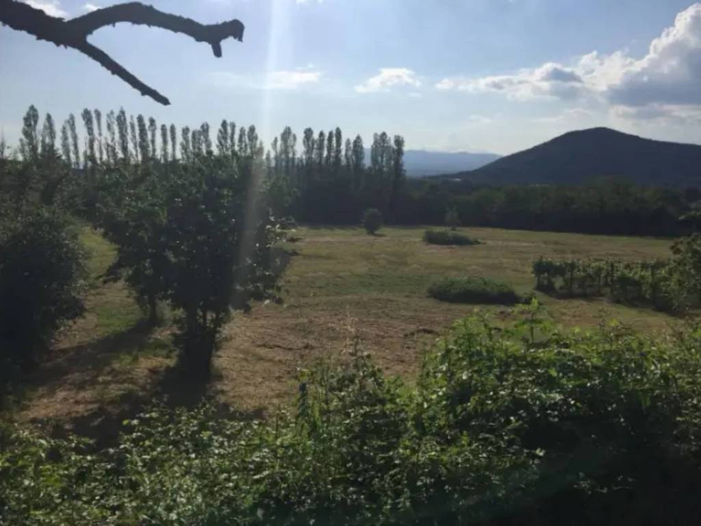 Rustico / casale a Pietramelara in via Casini - Foto 2