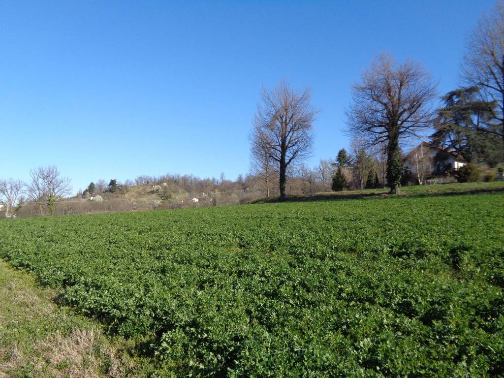 Terreno a Bra in Strada Bria - Foto 4