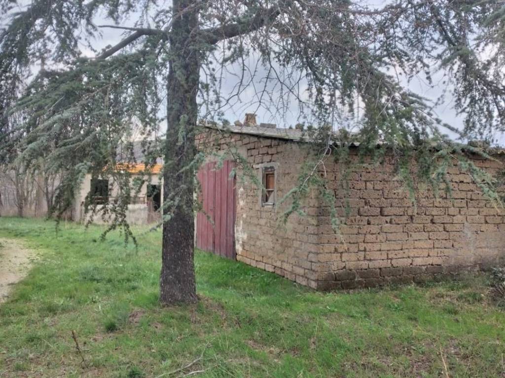 Immobile a Campagnatico - Foto 4