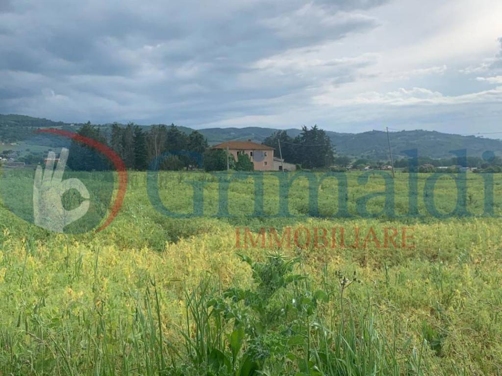 Terreno a Bettona in Via Tordandrea, 1 - Foto 5