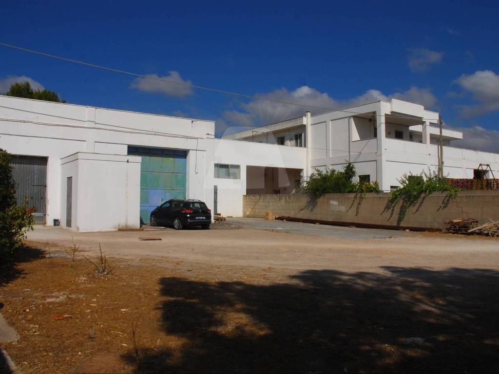 Palazzo / stabile a Alessano in Strada Provinciale Maglie Lecce - Foto 4