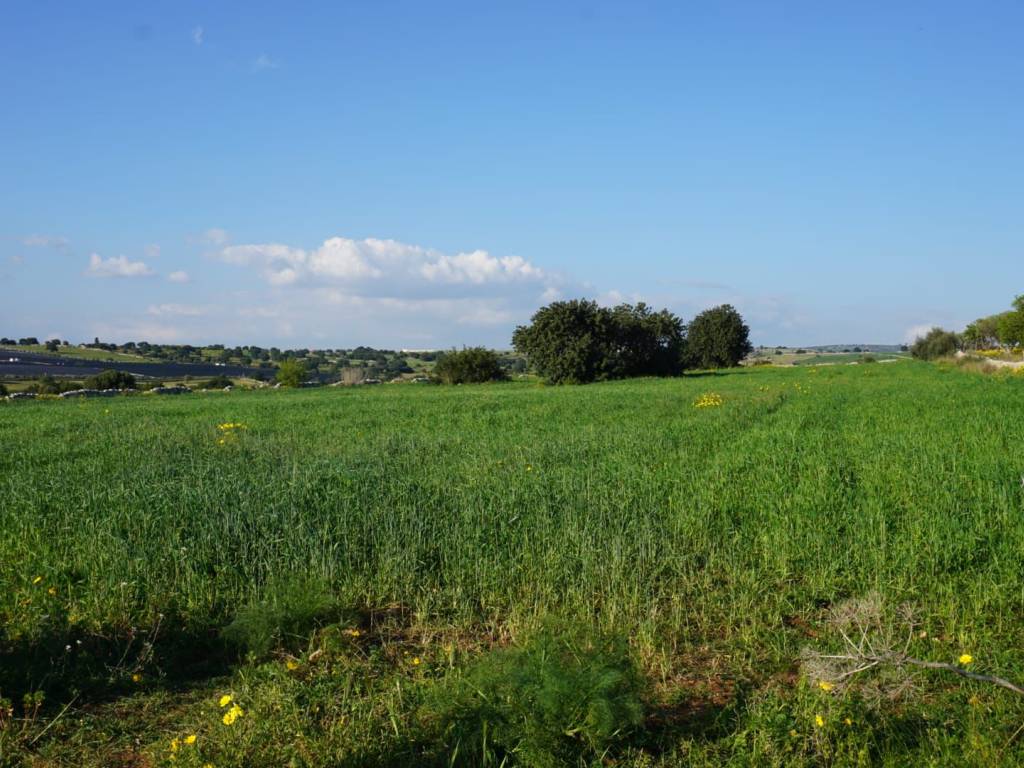 Rustico / casale a Ragusa in SP36 - Foto 4
