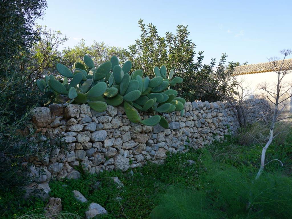 Rustico / casale a Ragusa in SP36 - Foto 5