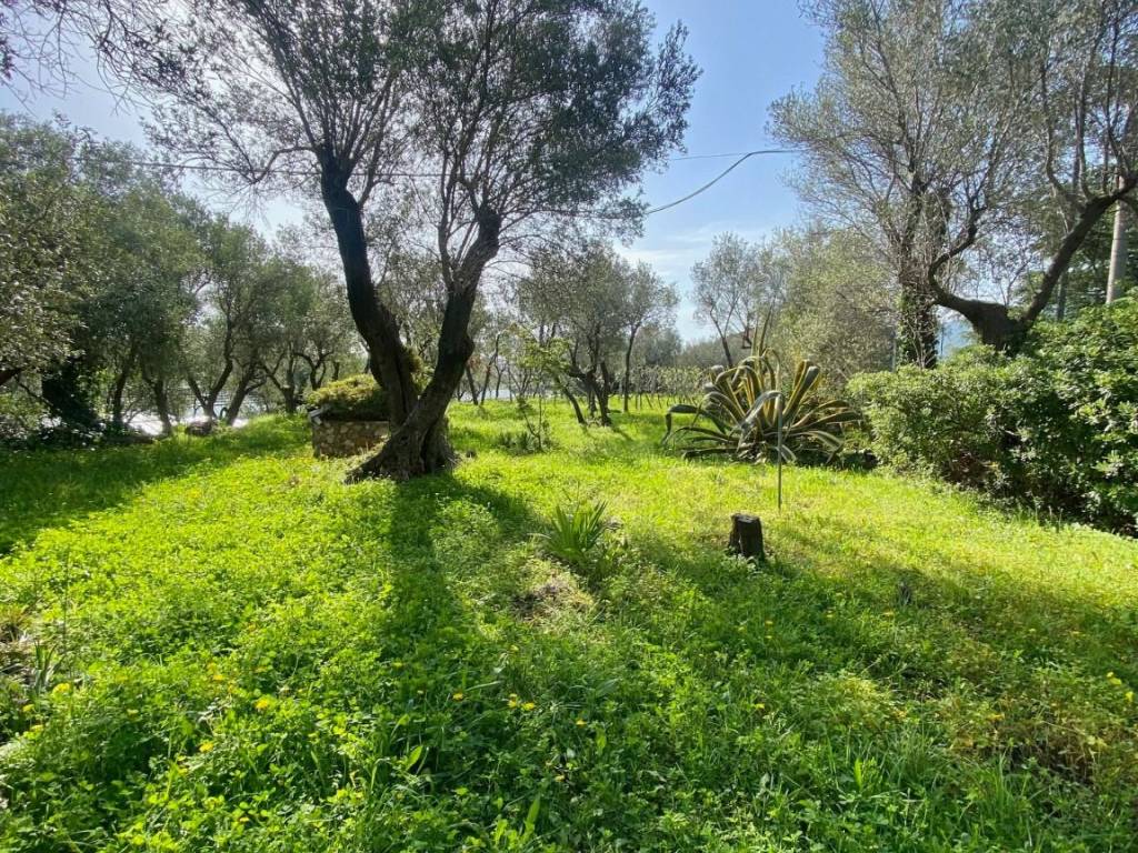 Villa a Albenga in Regione Roberti - Foto 4