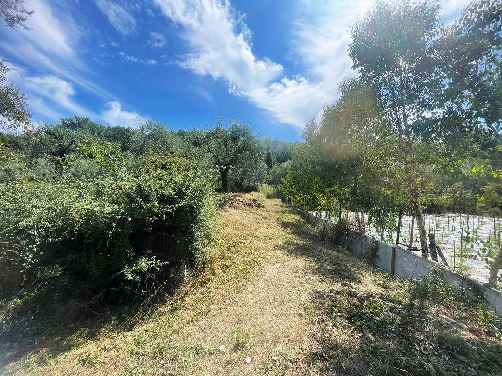 Terreno a Villanova d'albenga in Località Tenaighe, 2 - Foto 2
