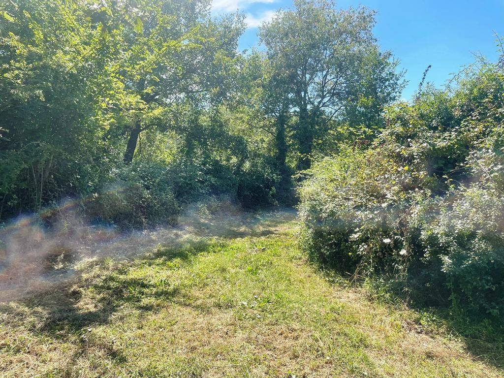 Terreno a Villanova d'albenga in Località Tenaighe, 2 - Foto 4