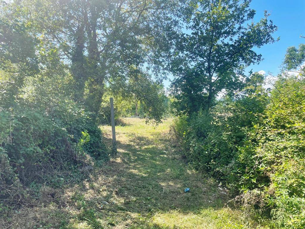 Terreno a Villanova d'albenga in Località Tenaighe, 2 - Foto 5