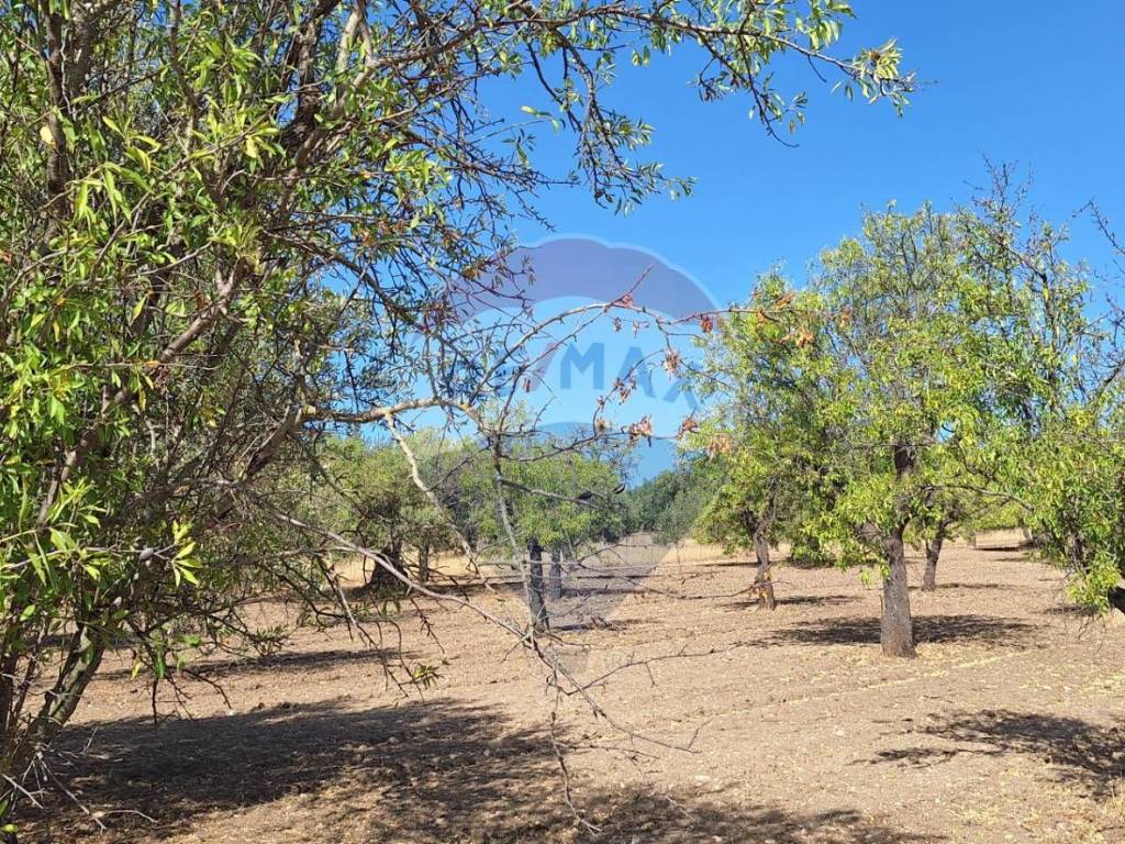 Terreno a Noto in Contrada Belliscala - Foto 2
