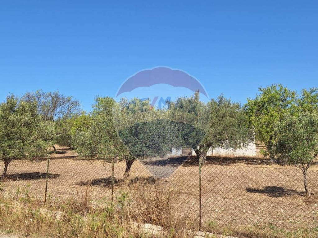 Terreno a Noto in Contrada Belliscala - Foto 4
