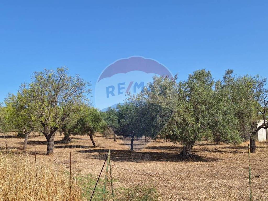 Terreno a Noto in Contrada Belliscala - Foto 5