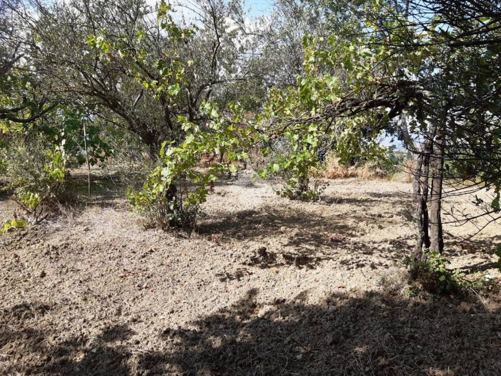 Terreno a Montesarchio in Via querceto - Foto 2