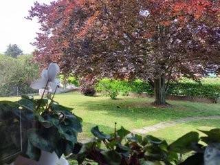 Villa a Campoformido - Foto 3