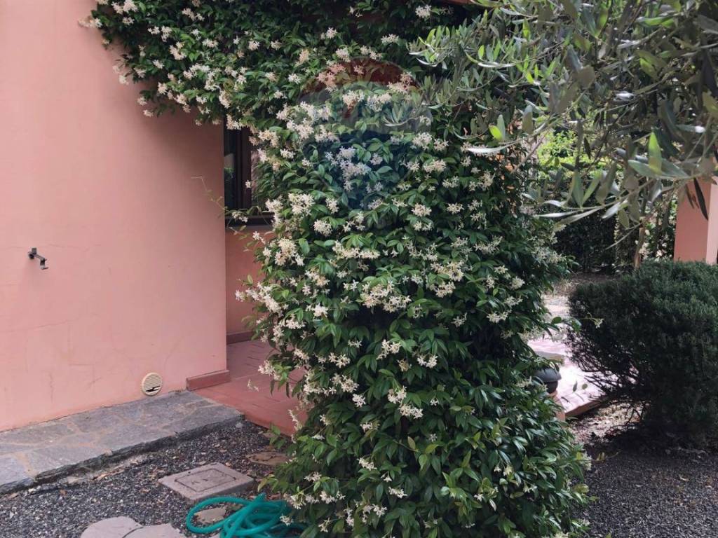 Appartamento a Monteverdi marittimo - Foto 5