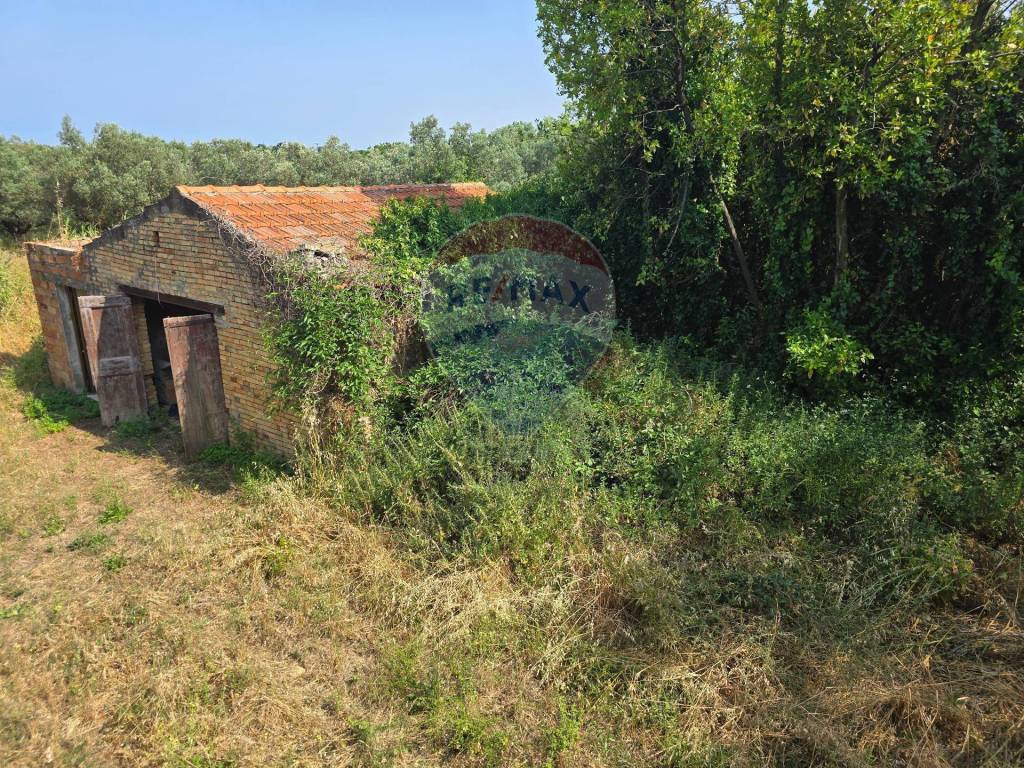 Rustico / casale a Casalbordino in Contrada Piana Sabelli, 1 - Foto 2
