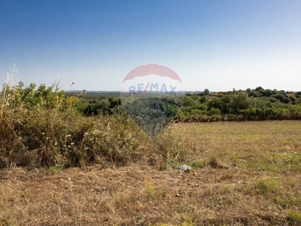 Terreno a Noto in contrada Gelso Anellù - Foto 4
