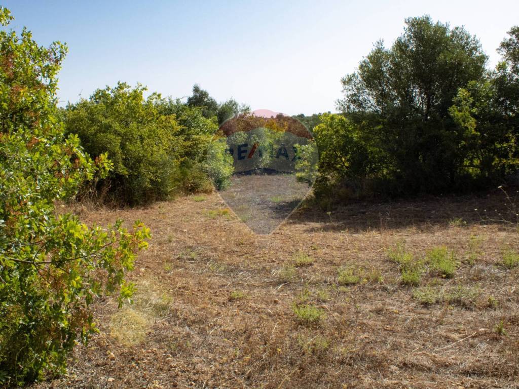 Terreno a Noto in contrada Gelso Anellù - Foto 5