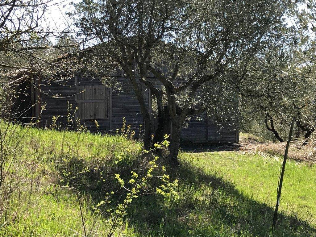 Terreno a Assisi in Via TURRITA, 0 - Foto 2