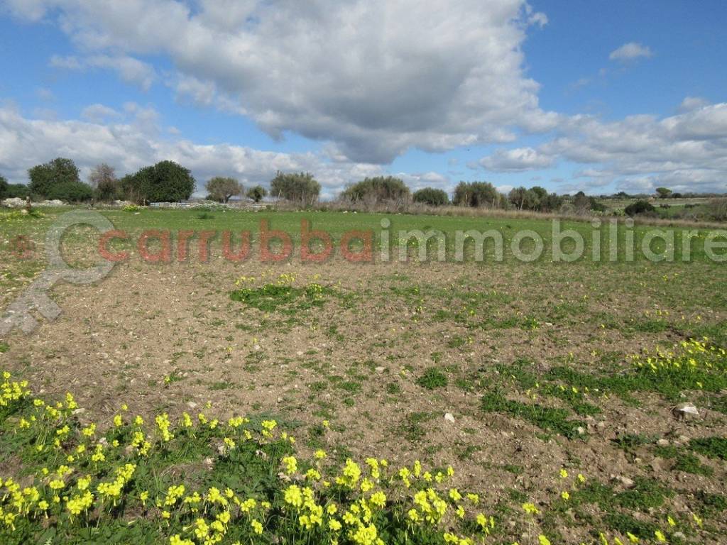 Terreno a Scicli in Contrada Guardiola - Foto 3