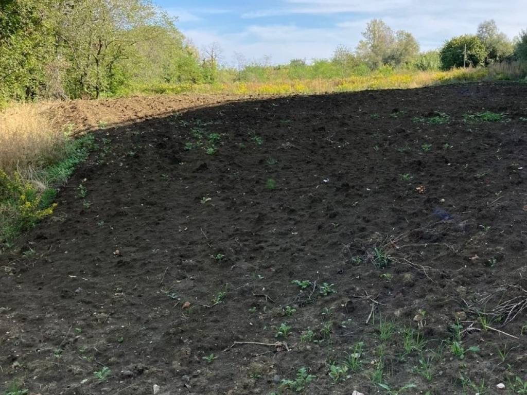 Terreno a Senigallia - Foto 2