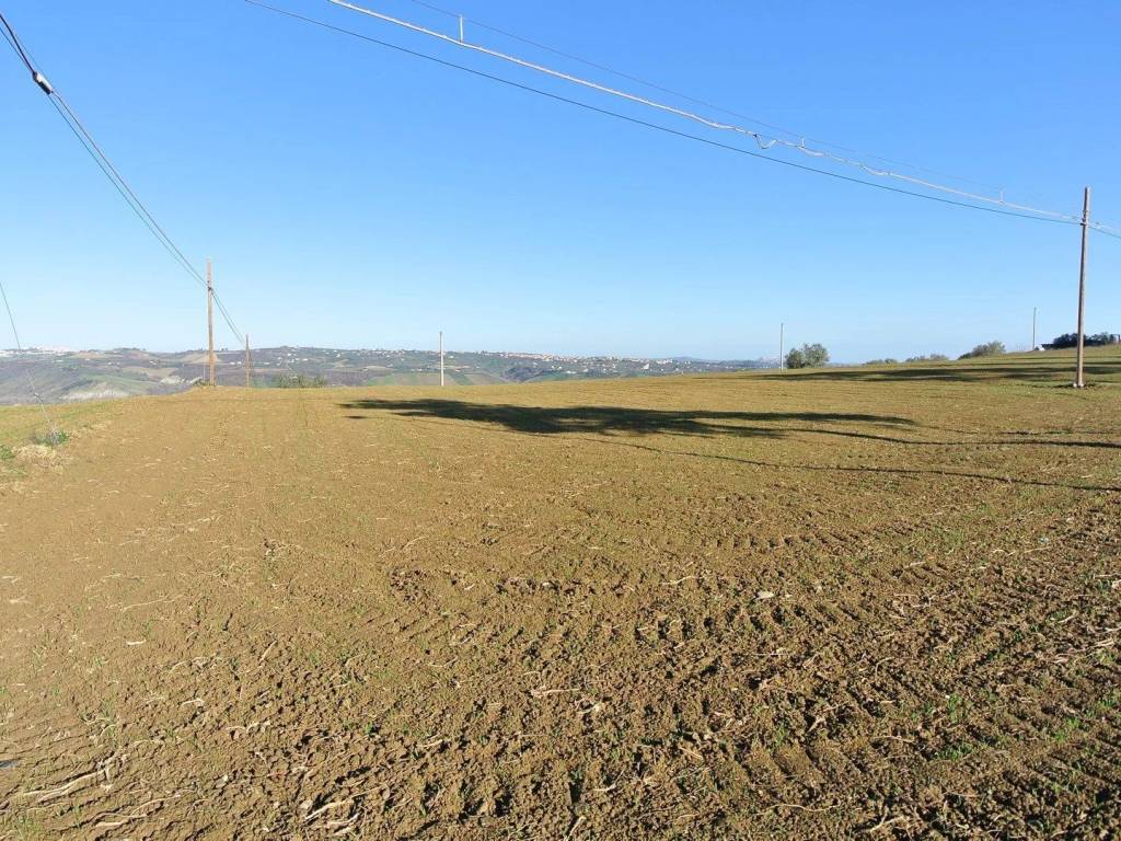 Terreno a Loreto aprutino in CONTRADA TARALLO 5571 - Foto 4