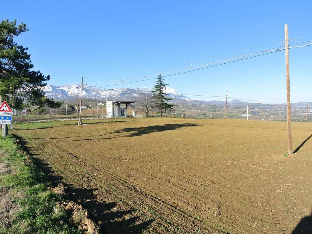 Terreno a Loreto aprutino in CONTRADA TARALLO 5571 - Foto 5
