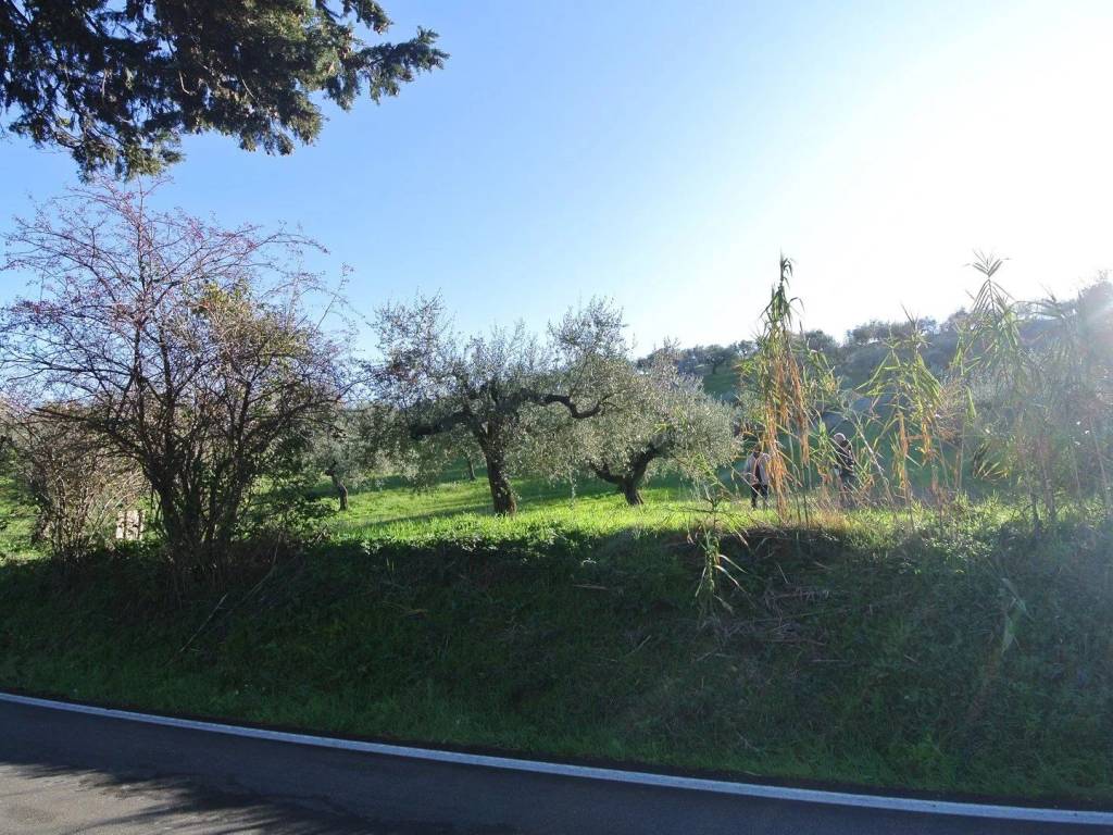 Terreno a Loreto aprutino in CONTRADA TARALLO 5571 - Foto 3