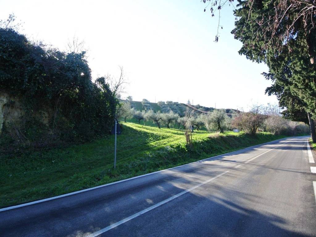 Terreno a Loreto aprutino in CONTRADA TARALLO 5571 - Foto 4