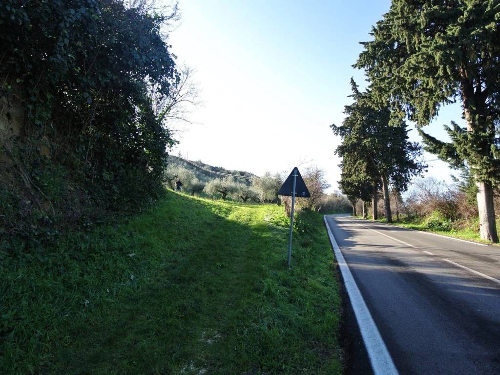 Terreno a Loreto aprutino in CONTRADA TARALLO 5571 - Foto 5