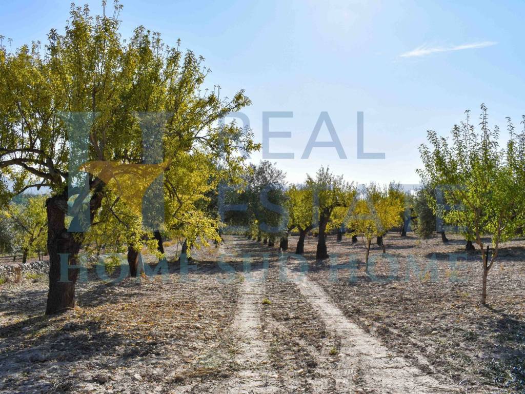 Terreno a Noto in Via Tommaso Fazello, 228 - Foto 2