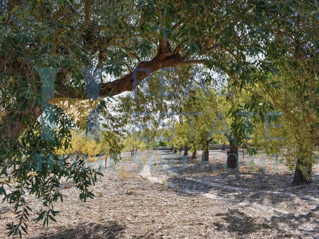 Terreno a Noto in Via Tommaso Fazello, 228 - Foto 3