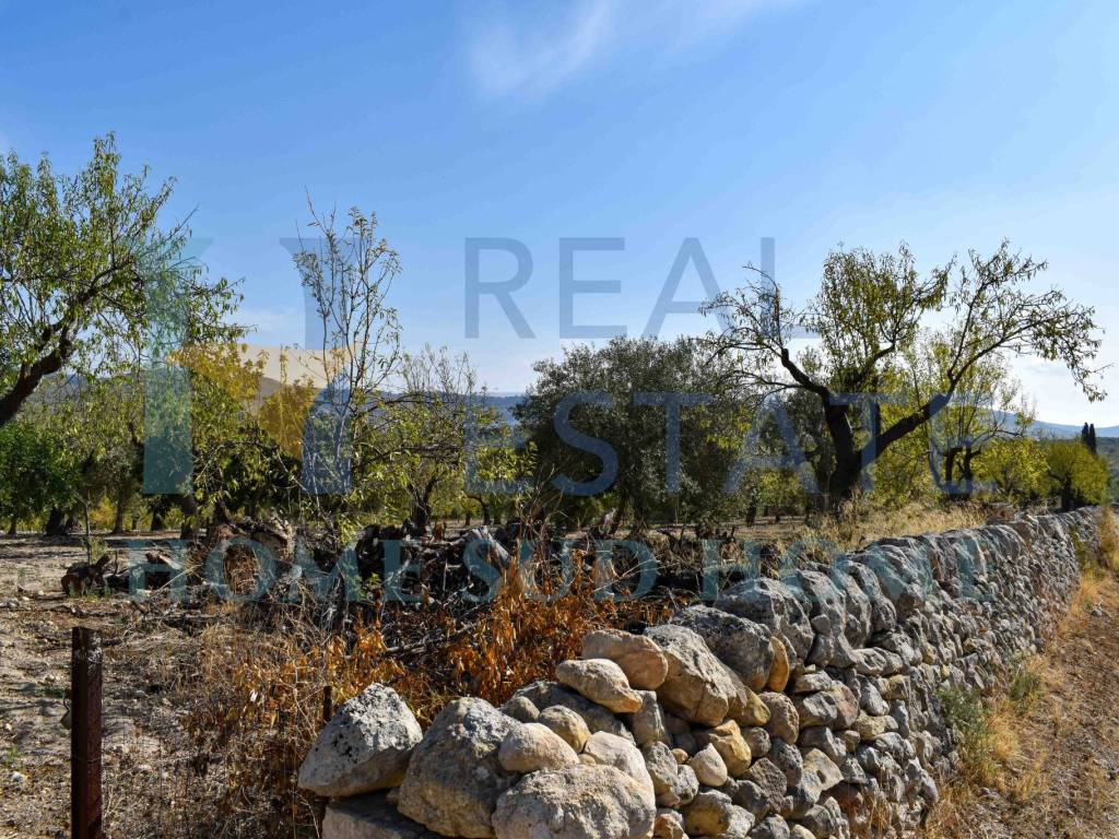 Terreno a Noto in Via Tommaso Fazello, 228 - Foto 4