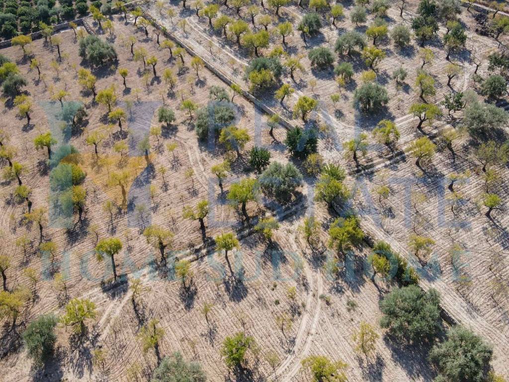 Terreno a Noto in Via Tommaso Fazello, 228 - Foto 5