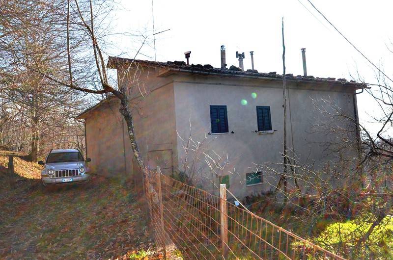 Rustico / casale a Santa fiora in Via Poggio Negretta, 7 - Foto 2