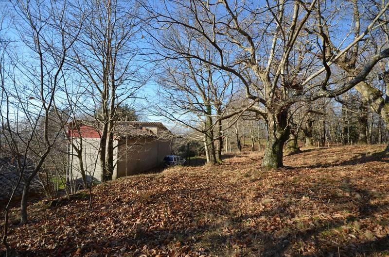 Rustico / casale a Santa fiora in Via Poggio Negretta, 7 - Foto 3