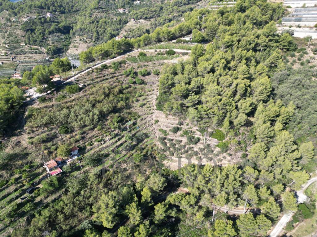 Rustico / casale a Soldano in Strada Pini, 38 - Foto 3