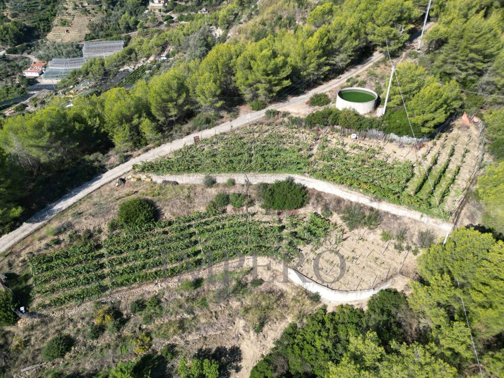 Rustico / casale a Soldano in Strada Pini, 38 - Foto 4