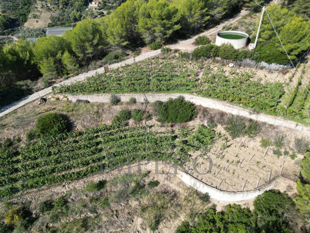 Rustico / casale a Soldano in Strada Pini, 38 - Foto 5