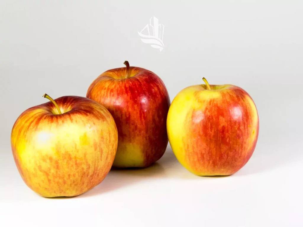 Terreno a Egna in Viale Trento - Foto 4