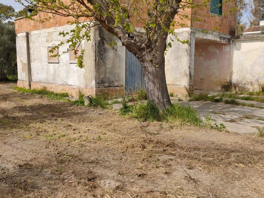 Terreno a Bernalda in Contrada Mercuragno - Foto 3